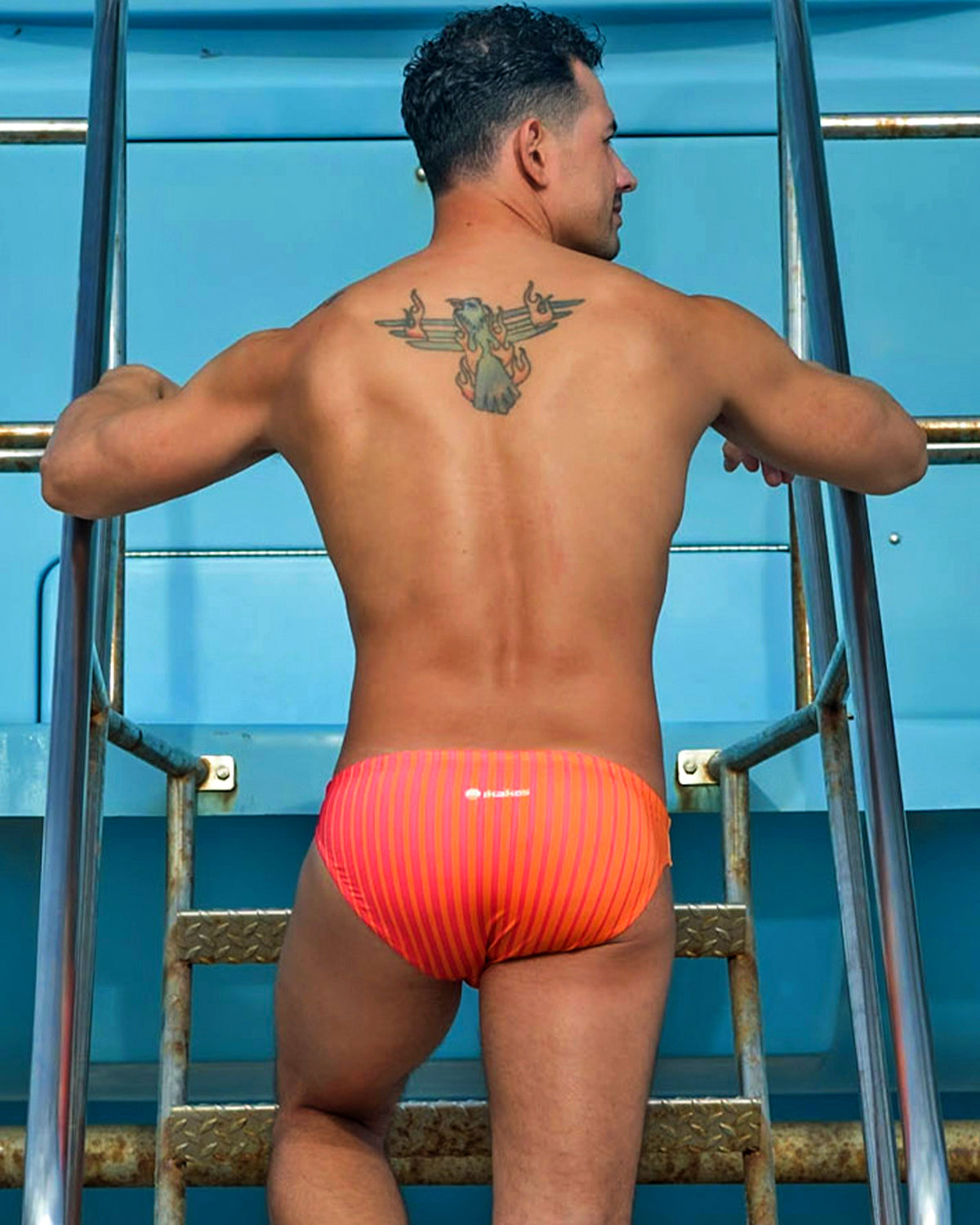 RISE SWIM BRIEF