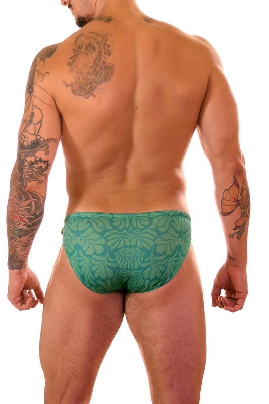 FERN SWIM BRIEF