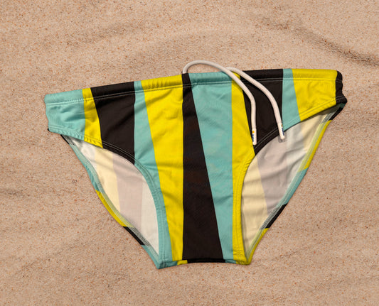 BACKGAMMON SWIM BRIEF